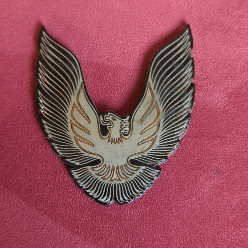 1979 1980 1981 pontiac trans am firebird tail light gas door silver bird.